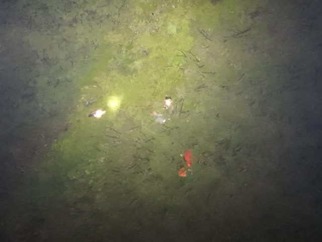 20260717_101237206_iOS