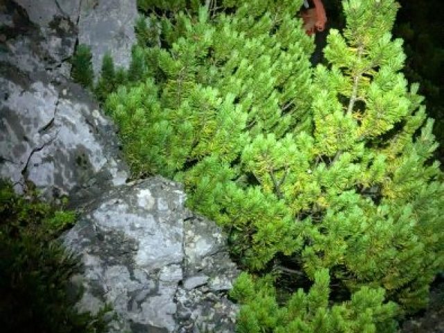 PXL_20260716_231649768
