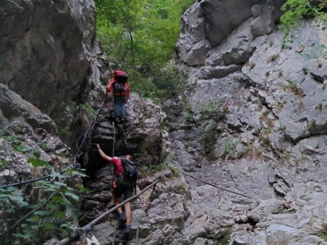 IMG-20260815-WA0031
