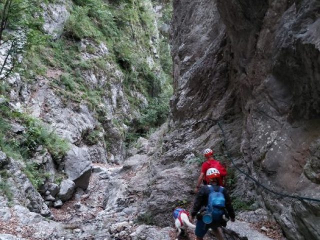 IMG-20260815-WA0039